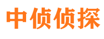 马村捉小三公司